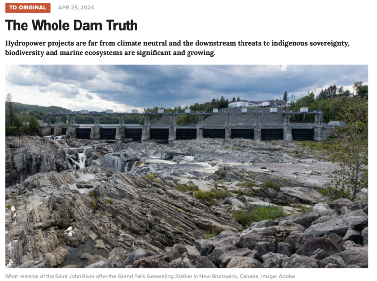 Read more about the article The Whole Dam Truth